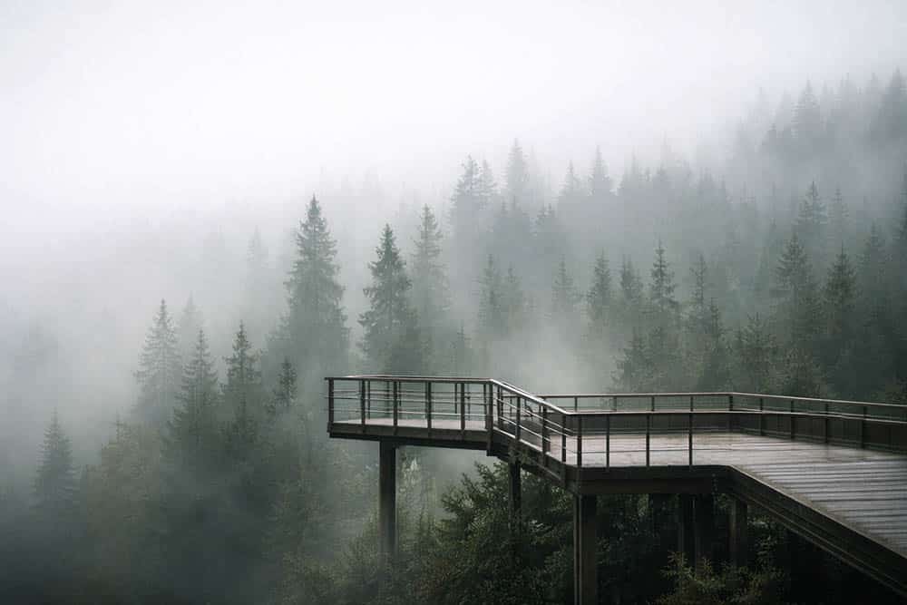 erborgene Aussichtsplattform im Nebel